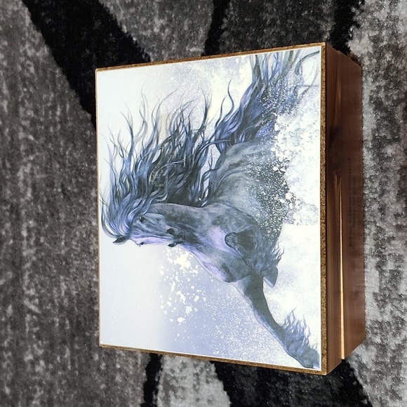 VINTAGE WINTER THUNDER HORSE MACKINAC ISLAND MICHIGAN CEDAR DECOR KEEPSAKE BOX - Picture 2 of 15